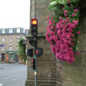 Flowers and traffic lights in Villedieu les Poêles